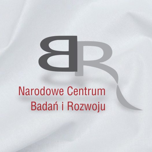 Projekt PAVEPRO – wielofunkcyjna nawierzchnia dla osób niepełnosprawnych