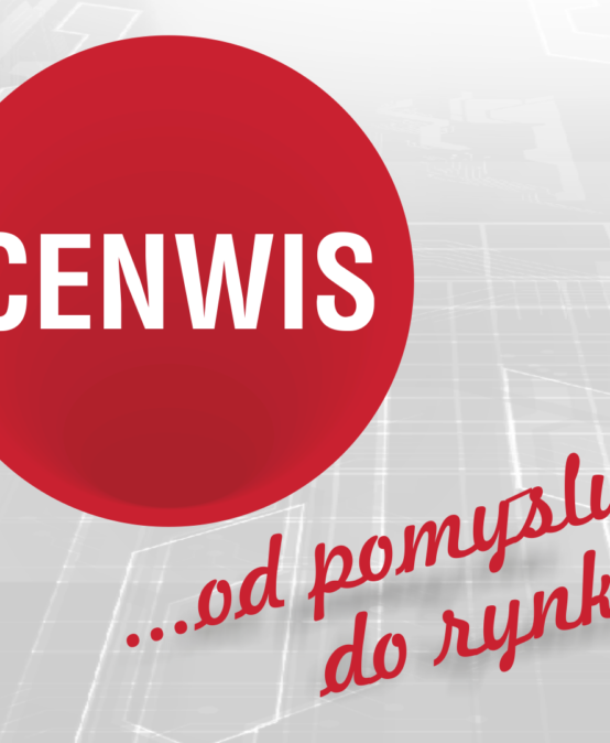 CENWIS Design Sprint