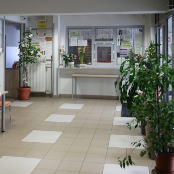 PSk-DS-mimoza_03