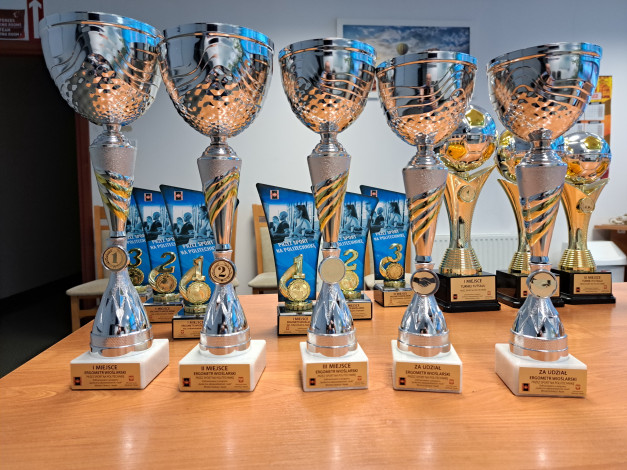 Trofea sportowe na drewnianym stole. Kluczowe obiekty: puchary, medale, dyplomy. Kontekst: ceremonia wręczenia nagród.