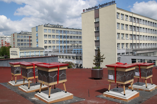 Na dachu znajdują się ule. W tle budynki Politechniki Świętokrzyskiej.