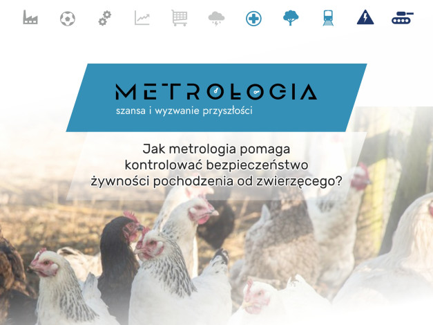 Grupa kur na tle wiejskiego krajobrazu. Tekst: "Jak metrologia pomaga kontrolować bezpieczeństwo żywności pochodzenia