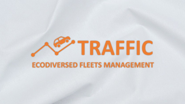 Pomarańczowe logo z samochodem na wykresie i tekstem "TRAFFIC ECO DIVERSED FLEETS MANAGEMENT".